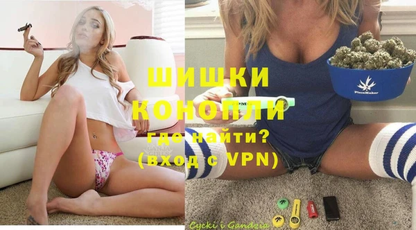 амф Верея