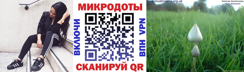 сколько стоит  Таганрог  Псилоцибиновые грибы MAGIC MUSHROOMS 