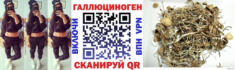 Псилоцибиновые грибы мицелий Таганрог